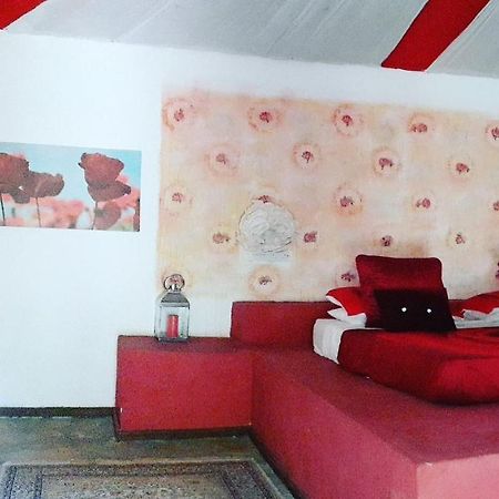 Gecko Nature Lodge Home Of Swahili Divers The Best Dive Center And Famous Gecko Restaurant Verani Bagian luar foto