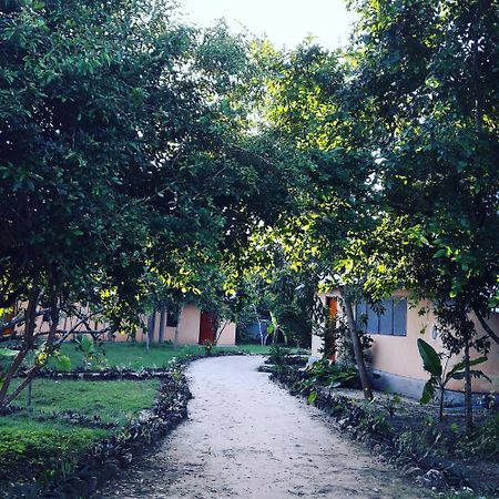 Gecko Nature Lodge Home Of Swahili Divers The Best Dive Center And Famous Gecko Restaurant Verani Bagian luar foto