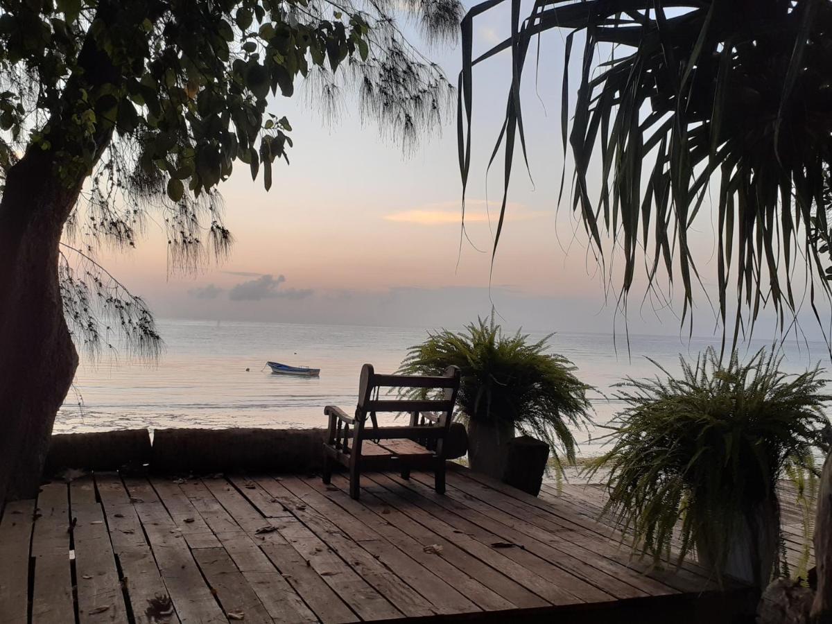 Gecko Nature Lodge Home Of Swahili Divers The Best Dive Center And Famous Gecko Restaurant Verani Bagian luar foto