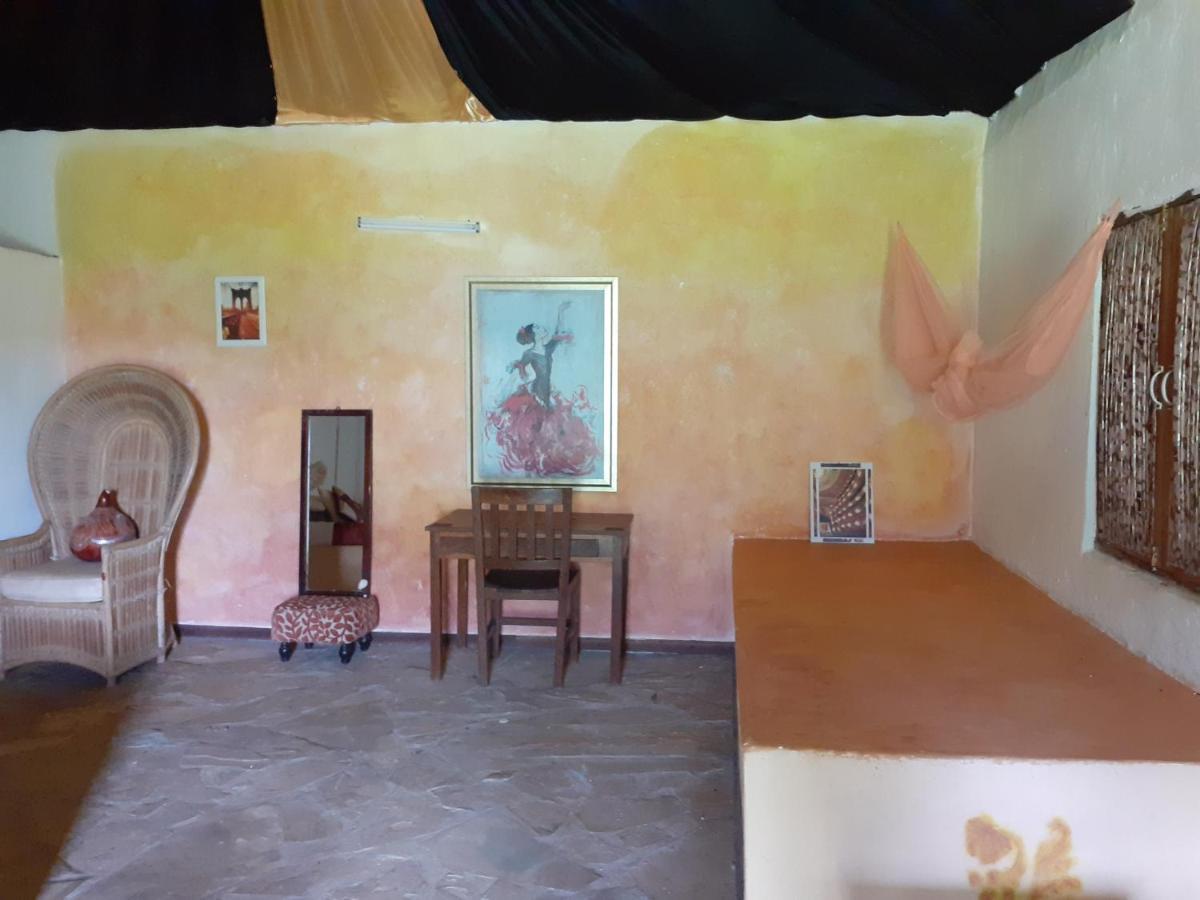 Gecko Nature Lodge Home Of Swahili Divers The Best Dive Center And Famous Gecko Restaurant Verani Bagian luar foto