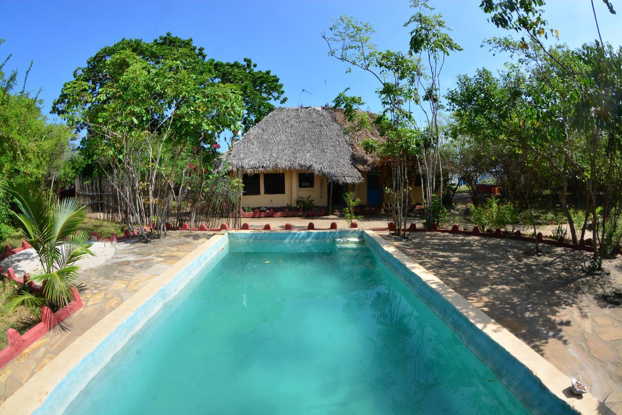 Gecko Nature Lodge Home Of Swahili Divers The Best Dive Center And Famous Gecko Restaurant Verani Bagian luar foto