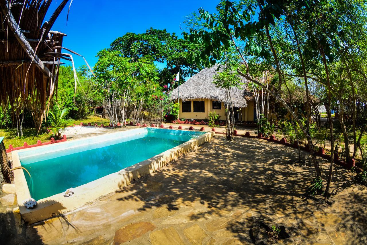 Gecko Nature Lodge Home Of Swahili Divers The Best Dive Center And Famous Gecko Restaurant Verani Bagian luar foto