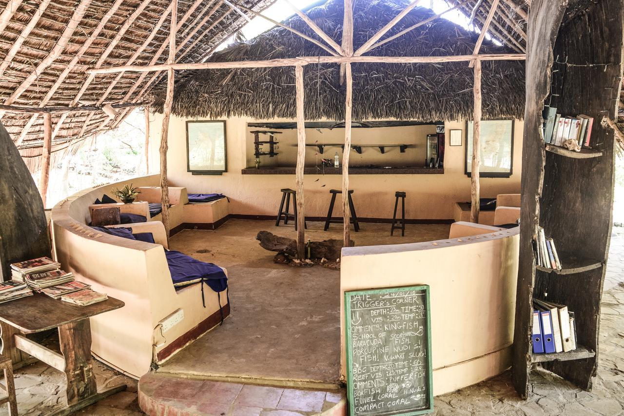 Gecko Nature Lodge Home Of Swahili Divers The Best Dive Center And Famous Gecko Restaurant Verani Bagian luar foto