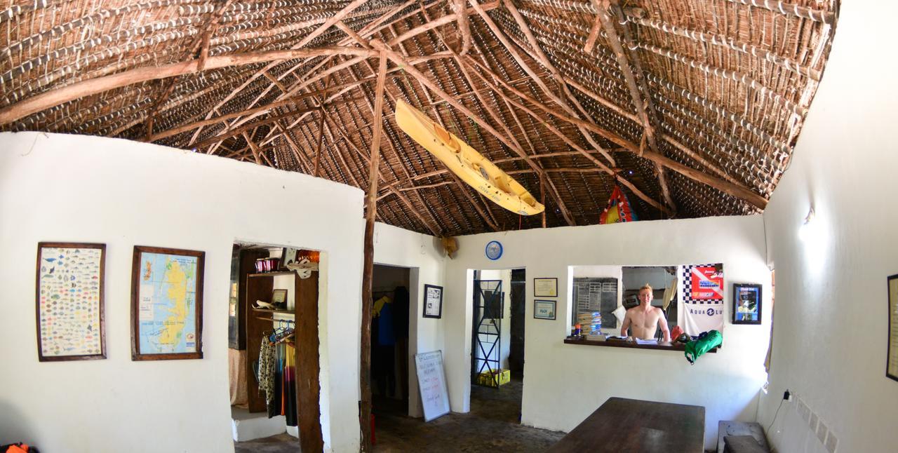 Gecko Nature Lodge Home Of Swahili Divers The Best Dive Center And Famous Gecko Restaurant Verani Bagian luar foto