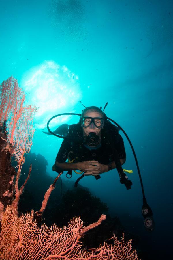 Gecko Nature Lodge Home Of Swahili Divers The Best Dive Center And Famous Gecko Restaurant Verani Bagian luar foto
