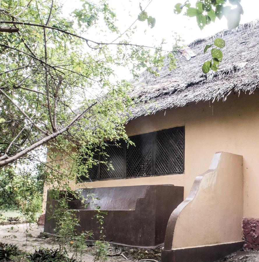 Gecko Nature Lodge Home Of Swahili Divers The Best Dive Center And Famous Gecko Restaurant Verani Bagian luar foto