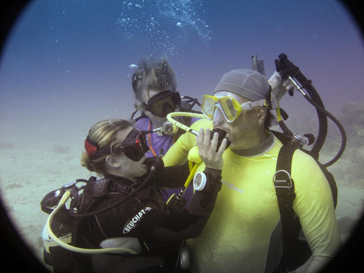 Gecko Nature Lodge Home Of Swahili Divers The Best Dive Center And Famous Gecko Restaurant Verani Bagian luar foto