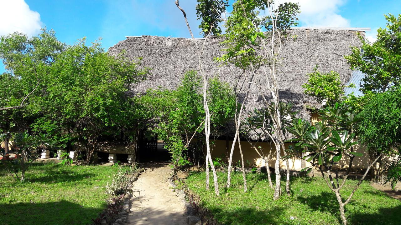 Gecko Nature Lodge Home Of Swahili Divers The Best Dive Center And Famous Gecko Restaurant Verani Bagian luar foto