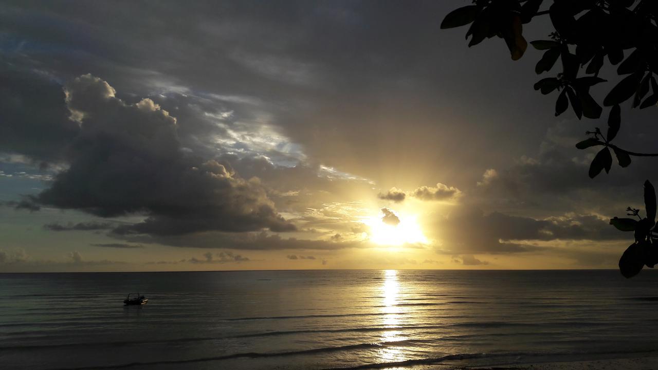 Gecko Nature Lodge Home Of Swahili Divers The Best Dive Center And Famous Gecko Restaurant Verani Bagian luar foto