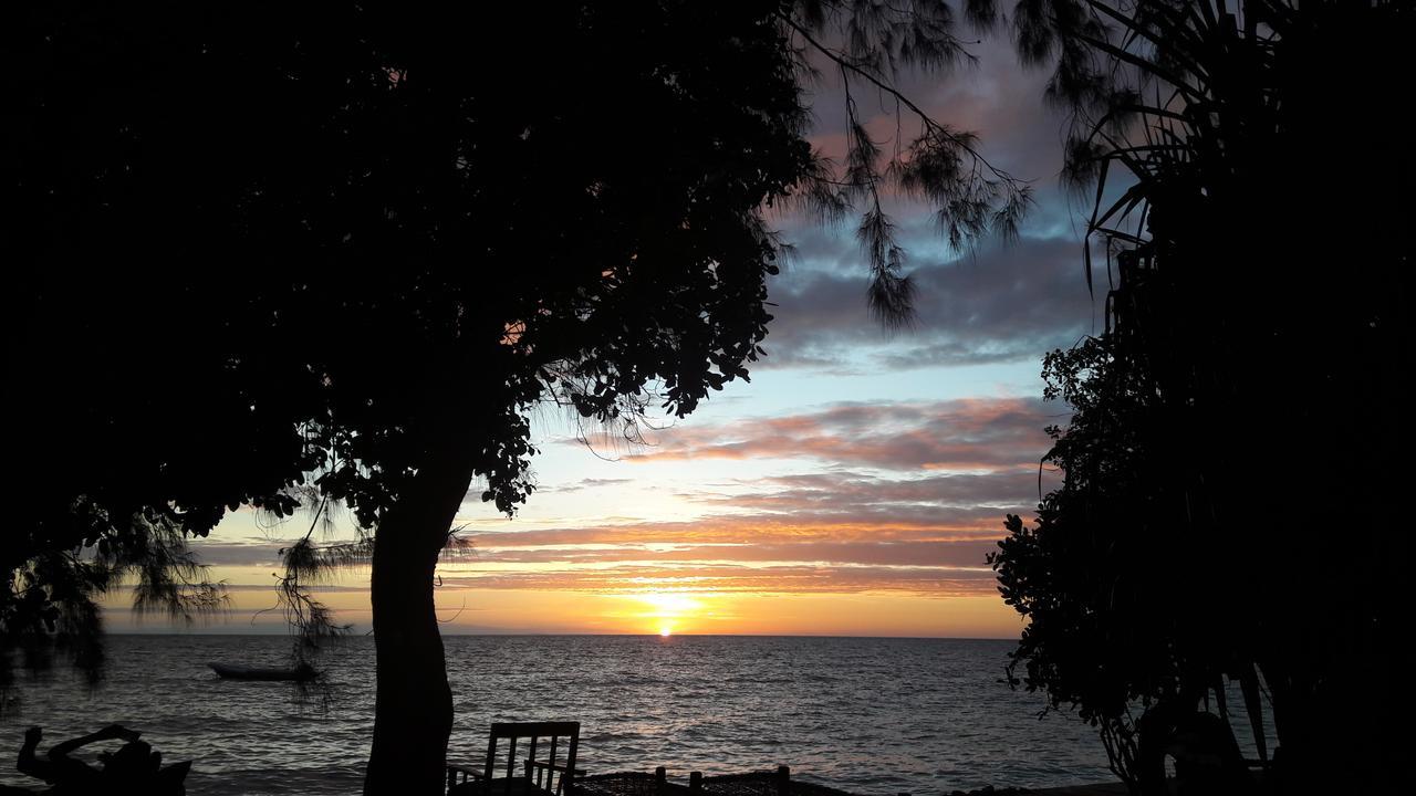 Gecko Nature Lodge Home Of Swahili Divers The Best Dive Center And Famous Gecko Restaurant Verani Bagian luar foto