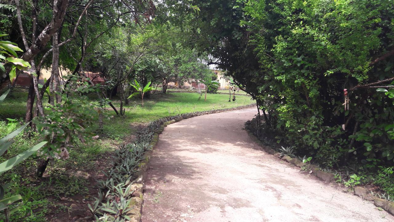 Gecko Nature Lodge Home Of Swahili Divers The Best Dive Center And Famous Gecko Restaurant Verani Bagian luar foto
