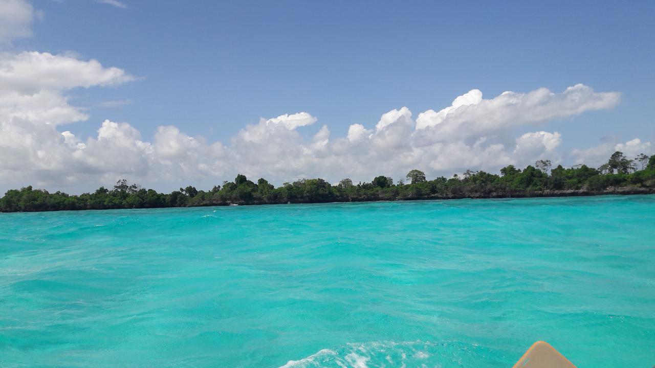 Gecko Nature Lodge Home Of Swahili Divers The Best Dive Center And Famous Gecko Restaurant Verani Bagian luar foto